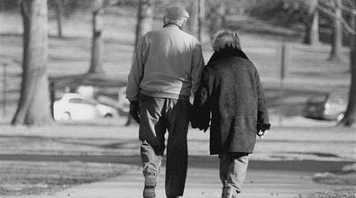 情感图片：老年人的爱情背影