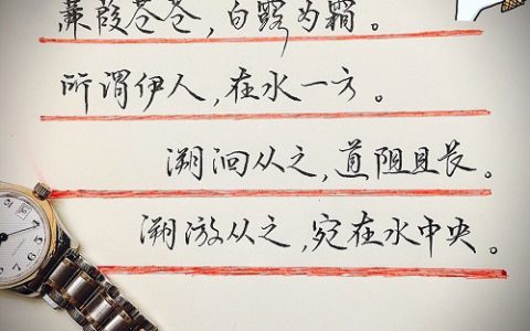 手写文字:蒹葭苍苍 白露为霜.