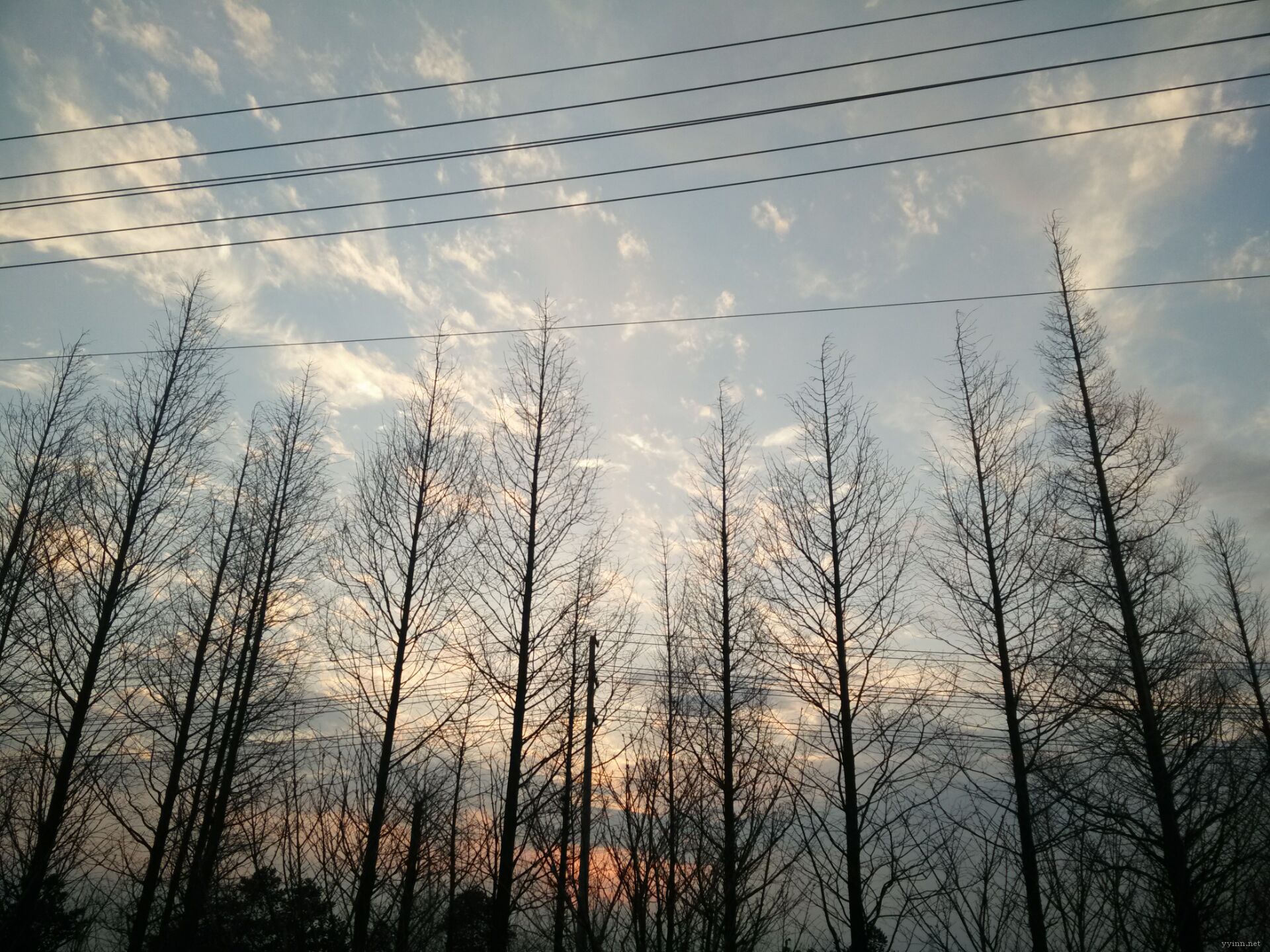 F5A2E40749AE4CC3CE71B69F223A7ACC