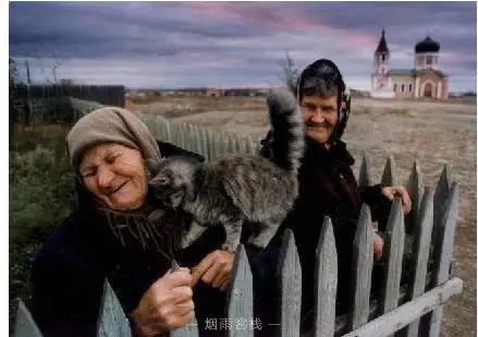 一只猫和一个老妇人 。