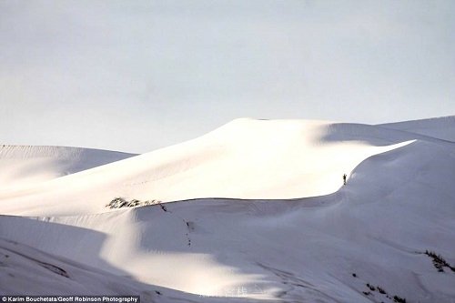 撒哈拉沙漠下雪了3