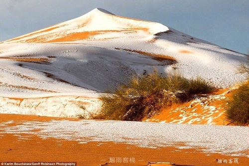 撒哈拉沙漠下雪了4