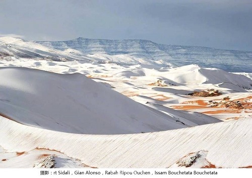撒哈拉沙漠下雪了