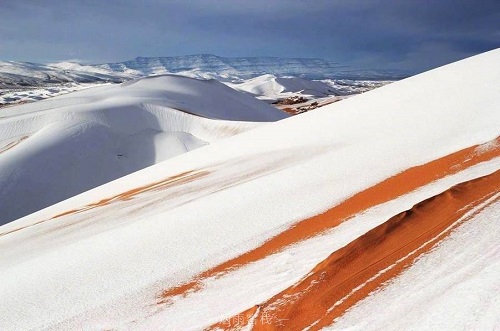 撒哈拉沙漠下雪了2