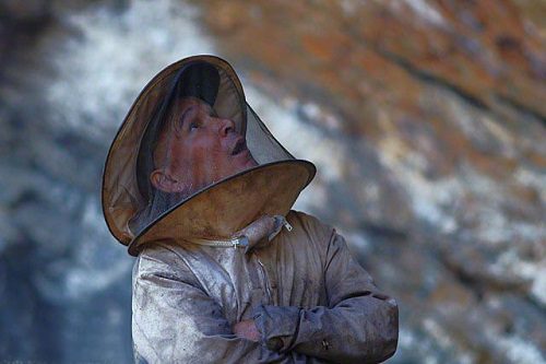 图片故事：绝壁上攀援的喜马拉雅采蜜人（烟雨客栈网）