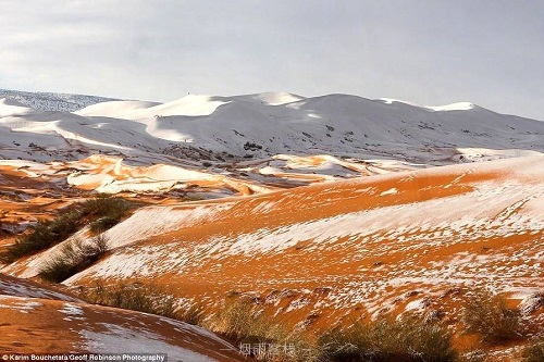 撒哈拉沙漠下雪了8