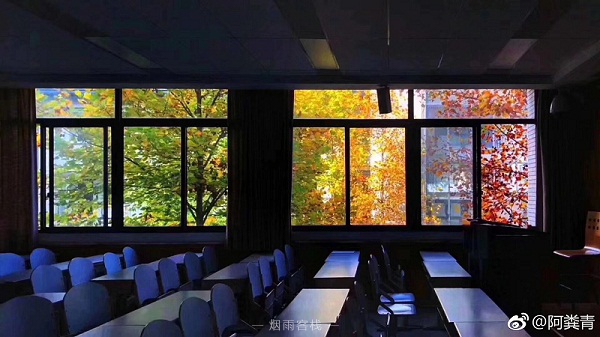 图片故事：重庆大学教室窗外的春夏秋冬