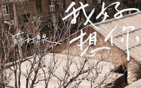 苏打绿《我好想你》，一首深情又绝望的歌