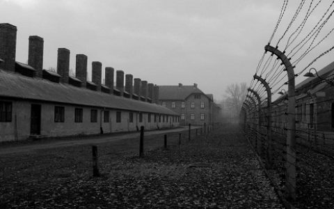感人故事：奥斯维辛集中营的那一对恋人