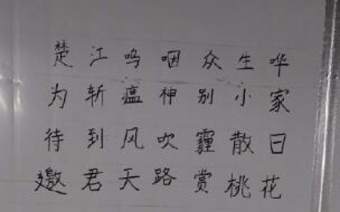 「图说人生」第7期：雷神山医护人员在墙上写的那些诗
