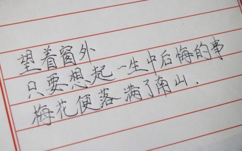 手写文字：只要想起一生中后悔的事，梅花就落满了南山