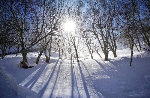 漠河雪景