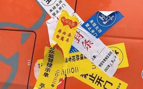 国内没有共存派（讨论清零or共存 往往都是自说自话）