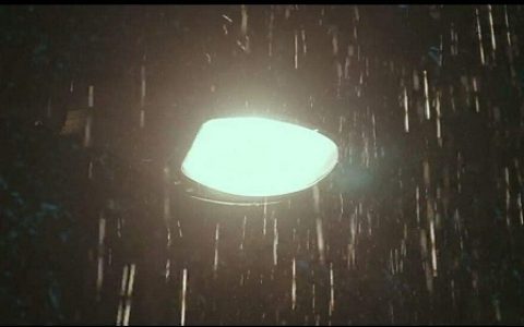 余华《在细雨中呼喊》经典语录（在细雨中呼喊好词好句摘抄）