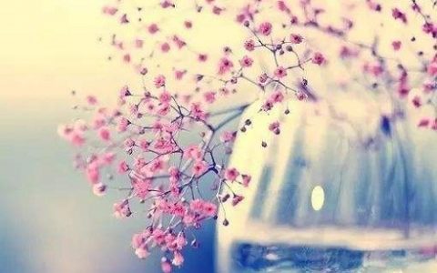 善良的句子经典语录（心存善良正能量的句子)
