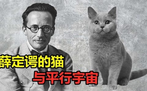 薛定谔的猫是什么意思 薛定谔的猫说明了什么道理？