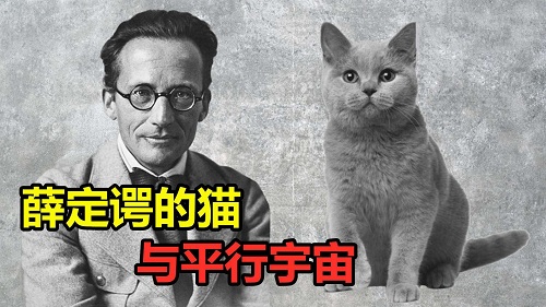 薛定谔的猫比喻什么图片