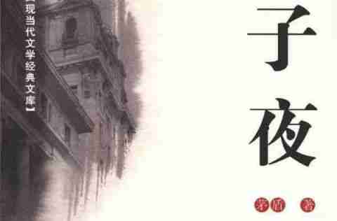 《子夜》读后感（那个动荡危机的30年代）