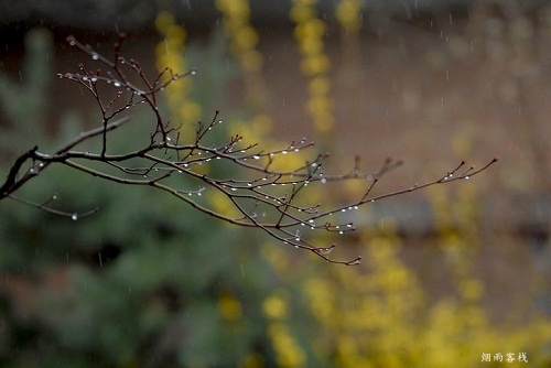 描写春雨的句子大全（形容春雨的好句摘抄）