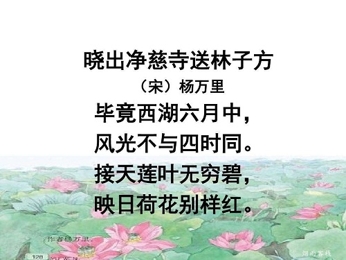 晓出净慈寺送林子方古诗的意思（晓出净慈寺送林子方古诗赏析）