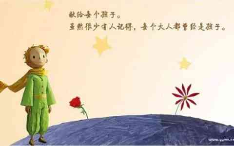 小王子与玫瑰花的隐喻，你真的读懂了吗？