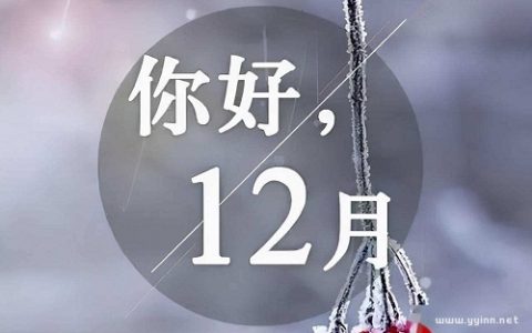12月你好：愿你所到之处，皆是温暖
