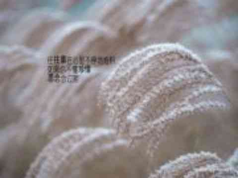 音频 | 也许，我这一生都无法走进你的生命