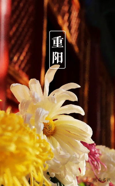 重阳节诗句古诗大全（关于重阳的诗词）