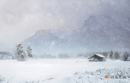 5篇描写雪的现代诗精选（关于雪的现代诗简短）