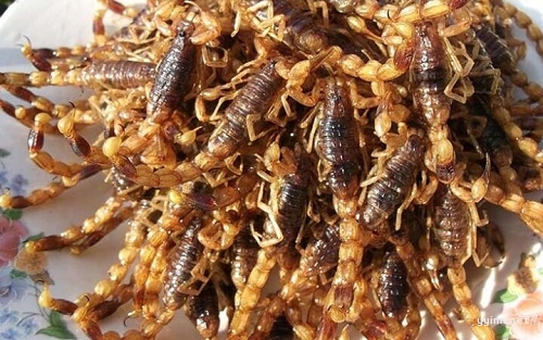 吃蝎子去湿气要吃多久才有效果？