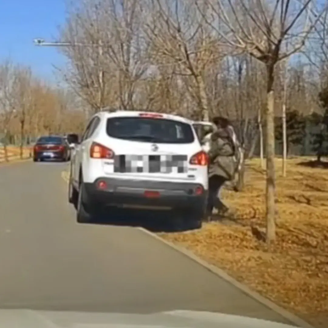 女子动物园抱孩子下车 狼悄摸靠近 后车赶紧鸣笛示警！